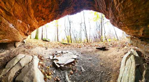 A panoramic view from inside a cave, showing rocky ground and trees with autumn leaves outside.