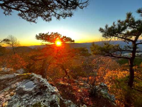 Sunset view from a rocky outcrop, with trees silhouetted against a vibrant orange and yellow sky.