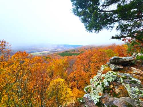 A scenic view of vibrant autumn foliage on a hillside, with rocky outcrops and a misty valley in the background.