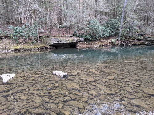 A serene forest scene featuring a clear stream with visible rocks and a stone ledge surrounded by trees and greenery.