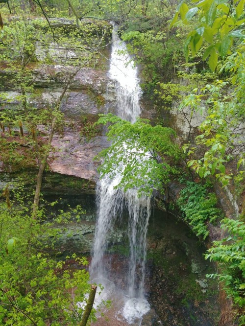 A serene waterfall cascading down rocky cliffs, surrounded by lush green foliage and trees.
