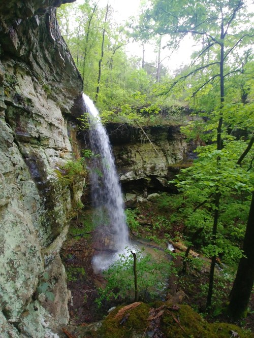 A serene waterfall cascading over a rocky cliff, surrounded by lush green trees and foliage.