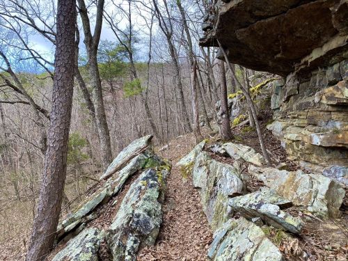 A rocky trail winds through a forest with bare trees and moss-covered stones under a cloudy sky.