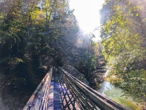 A wooden bridge spans a serene river, surrounded by lush green trees and sunlight filtering through the foliage.