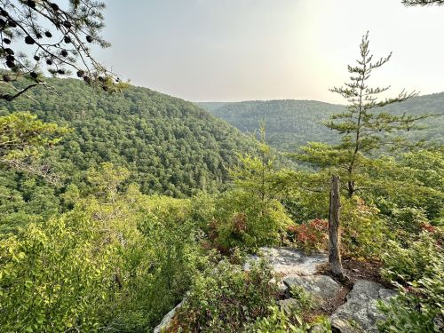 A scenic view of lush green hills and trees under a hazy sky, captured from a rocky overlook.