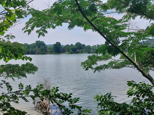 A serene lake view framed by lush green trees and foliage, with calm water reflecting the sky.