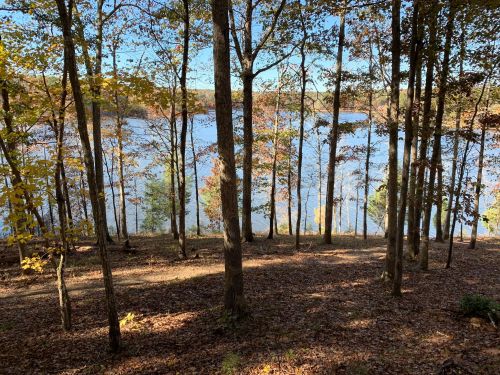 A serene lakeside view surrounded by trees with autumn foliage and a clear blue sky.