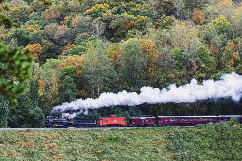 A steam train travels through a colorful forest, with smoke billowing against a backdrop of autumn foliage.