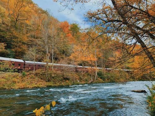A train travels alongside a river, surrounded by vibrant autumn foliage and trees.