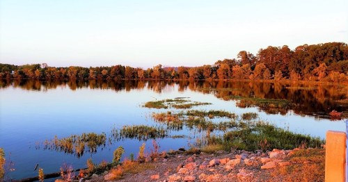 A serene lake at sunset, reflecting trees and grasses, with warm colors illuminating the water and shoreline.