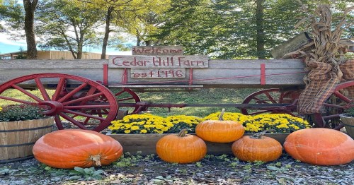 A rustic wooden cart with pumpkins and flowers, featuring a sign that reads "Welcome to Cedar Hill Farm, est. 1916."