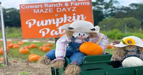 Scarecrows in a wagon with pumpkins, set against a sign for Cowart Ranch & Farms' Pumpkin Patch.