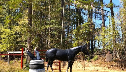 A black horse statue stands near a rustic barn sign, surrounded by trees and tires in a rural setting.