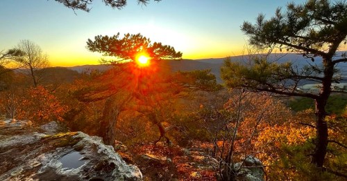 Sunset view over a mountainous landscape, with trees silhouetted against the vibrant orange and yellow sky.