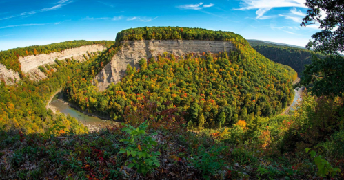 A panoramic view of a lush, colorful forested canyon with a winding river below and a clear blue sky above.
