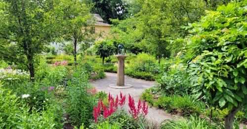 A lush garden filled with colorful flowers and greenery, featuring a central stone fountain surrounded by vibrant plants.