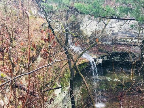 A small waterfall cascades over rocky terrain, surrounded by bare trees and mossy stones in a serene natural setting.