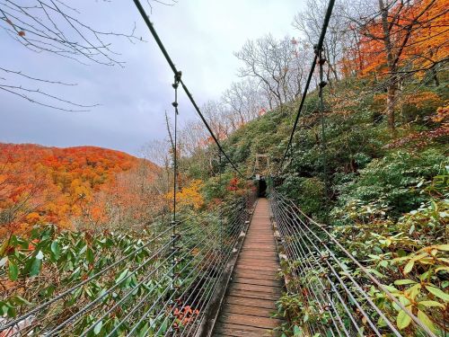 A wooden suspension bridge surrounded by vibrant autumn foliage and trees on a cloudy day.