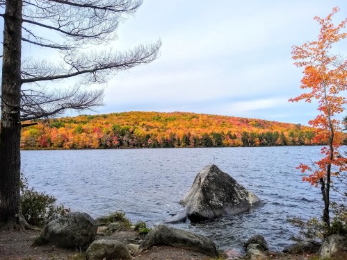 A serene lake surrounded by vibrant autumn foliage and a large rock in the foreground.