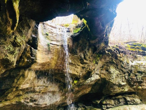 A waterfall cascades from a rocky overhang, surrounded by moss and trees in a serene natural setting.