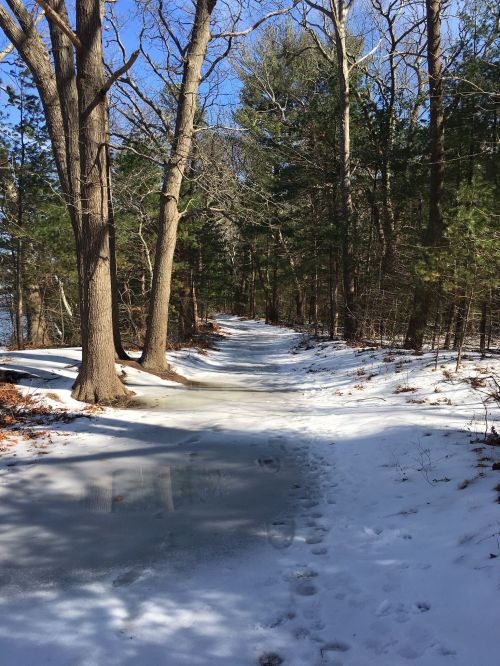 A snowy path through a forest, with trees on either side and a clear blue sky above. Footprints are visible in the snow.