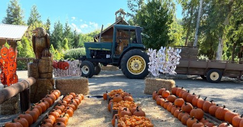 A tractor parked near a pumpkin patch, with hay bales and decorative signs in a sunny outdoor setting.