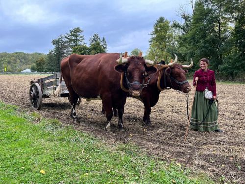 A woman in period clothing stands beside two oxen hitched to a wooden cart in a field. Trees and cloudy sky in the background.