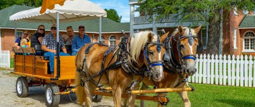 A horse-drawn wagon with passengers smiles for the camera in front of a historic building and white picket fence.