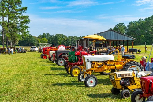 A row of vintage tractors in various colors displayed on a grassy field, with a barn and trees in the background.