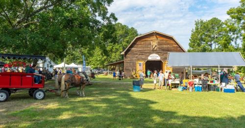 A lively outdoor festival scene with a horse-drawn cart, people mingling, and a rustic barn in the background.