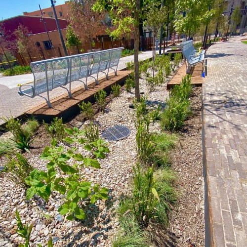 A landscaped park area featuring benches, greenery, and pathways lined with plants and gravel.
