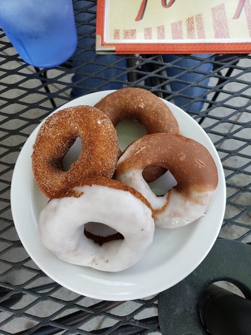 A plate of four assorted donuts: two glazed, one cinnamon sugar, and one chocolate.