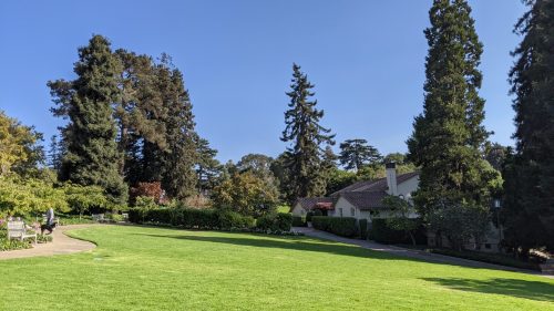 A sunny park scene featuring lush green grass, tall trees, and a house in the background under a clear blue sky.
