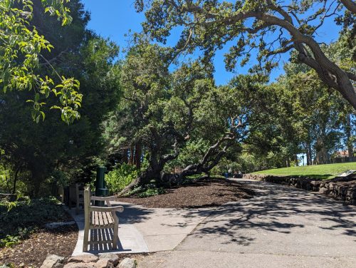 A peaceful park scene featuring a bench under large trees, with a clear blue sky and a winding path.