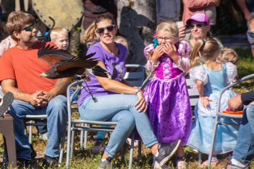 A hawk flies past a group of people, including children in costumes, during an outdoor event. Laughter and surprise are visible.