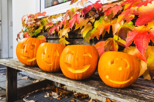 Four carved pumpkins with smiling faces sit on a wooden bench, surrounded by colorful autumn leaves.