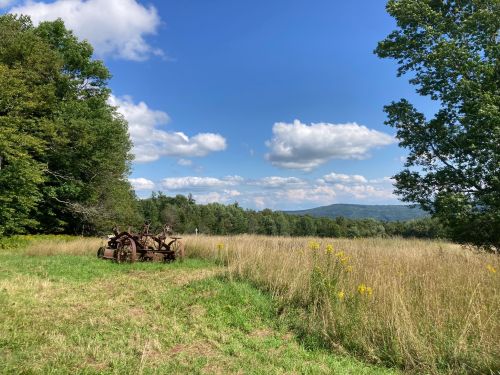 Rusty old tractor in a grassy field with trees and mountains under a blue sky with fluffy clouds.