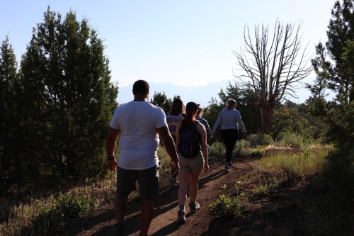 A group of people hiking on a trail surrounded by trees and mountains in the background.