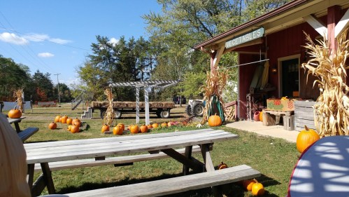 A rustic farm stand with pumpkins, a tractor, and picnic tables under a clear blue sky.
