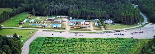 Aerial view of a rural area with buildings, pools, and a field displaying "GO DAWGS!" carved into the grass.