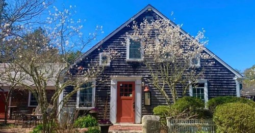 A charming dark blue house with white flowering trees and a bright blue sky in the background.