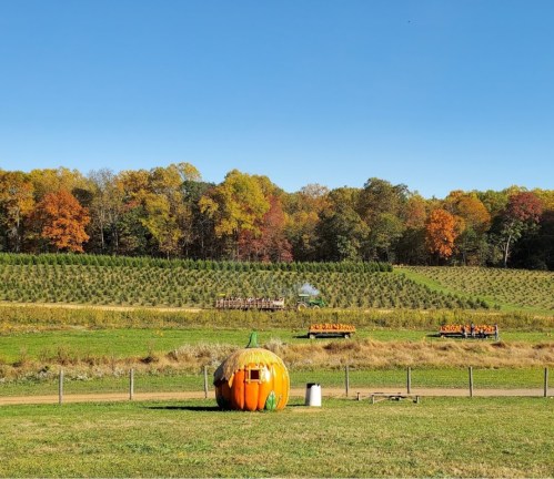 A large painted pumpkin sits in a field with colorful autumn trees and rows of crops in the background under a clear blue sky.