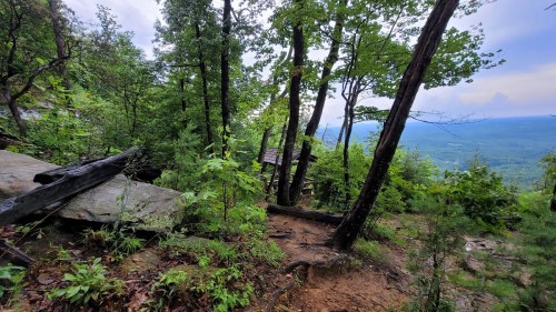Lush green forest with trees and rocks, overlooking a scenic valley under a cloudy sky.