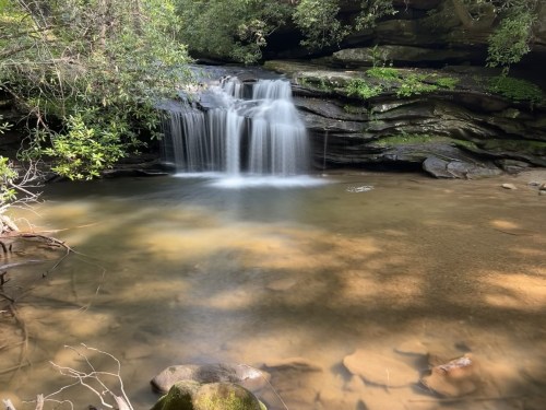 A serene waterfall cascades over rocks into a calm pool, surrounded by lush greenery and dappled sunlight.