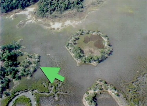 Aerial view of a marshland with circular islands and a large green arrow pointing to a specific area.