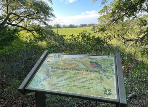 A sign about tides and ecology in a lush, green landscape with trees and a clear blue sky in the background.