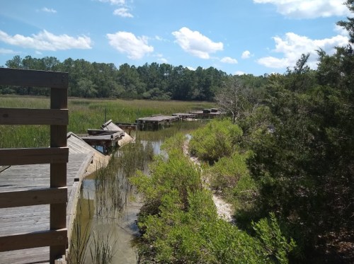 A weathered wooden boardwalk winds through a marsh, surrounded by tall grasses and trees under a blue sky.