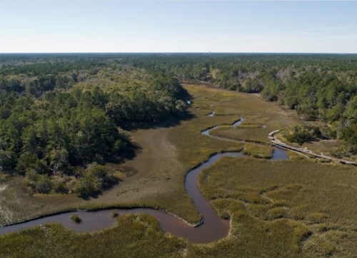 Aerial view of a winding river through lush green marshland and trees under a clear blue sky.