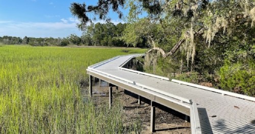A winding boardwalk through lush green marshland under a clear blue sky.
