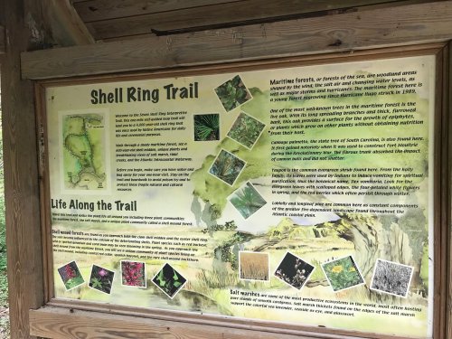 Informational sign about the Shell Ring Trail, featuring a map and images of local flora and fauna.